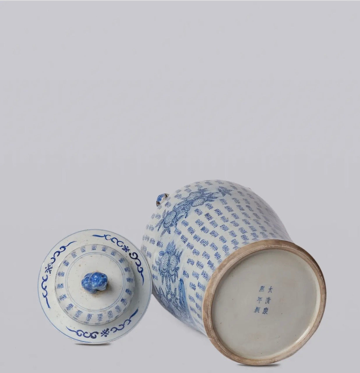 Blue & White Longevity Temple Jar