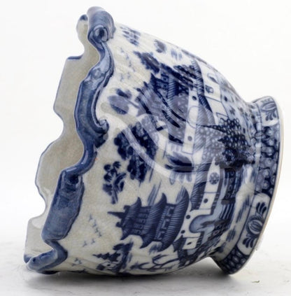 Blue Pagoda Willow Scalloped Planter
