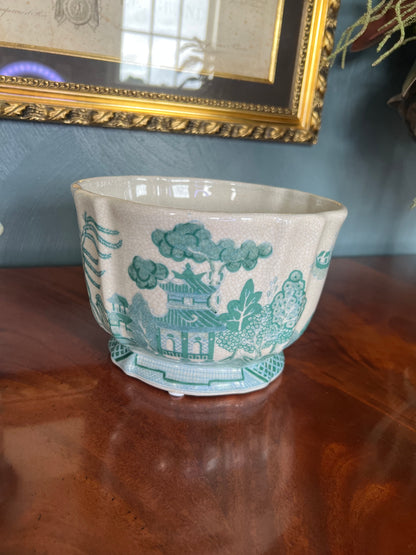 Turquoise Pagoda Willow Scalloped Cachepot