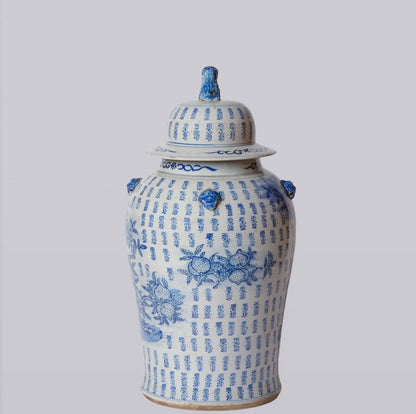 Blue & White Longevity Temple Jar